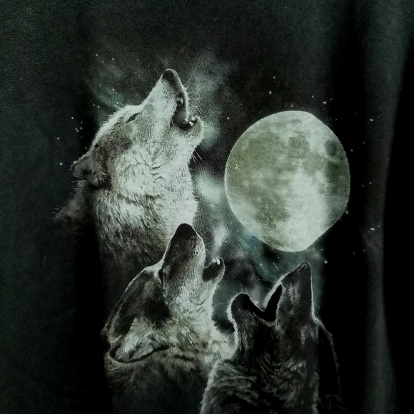 THE MOUNTAIN VINTAGE WOLF & MOON GRAPHIC T-SHIRT - Picture 3 of 5